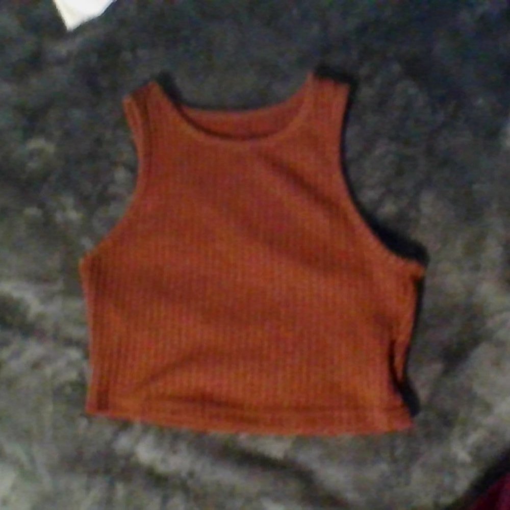 Brown crop top from SHEIN size small